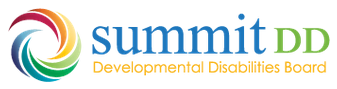 Summit DD logo